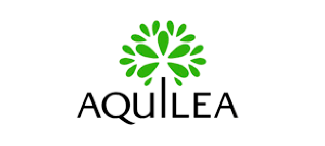 Loog aquilea